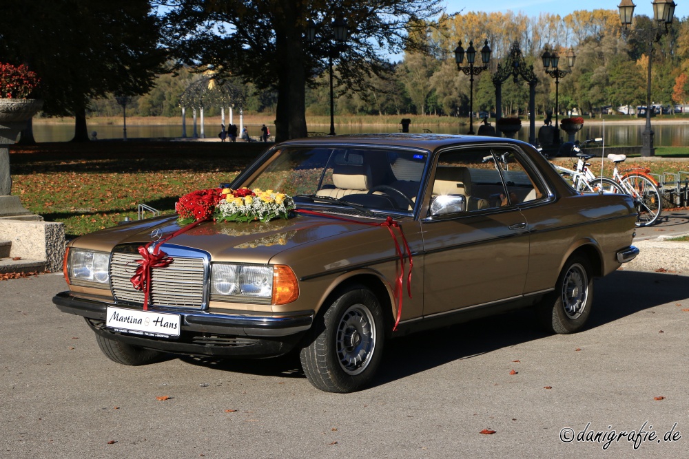 Schlüsselwörter: Hochzeit;Auto;Mercedes