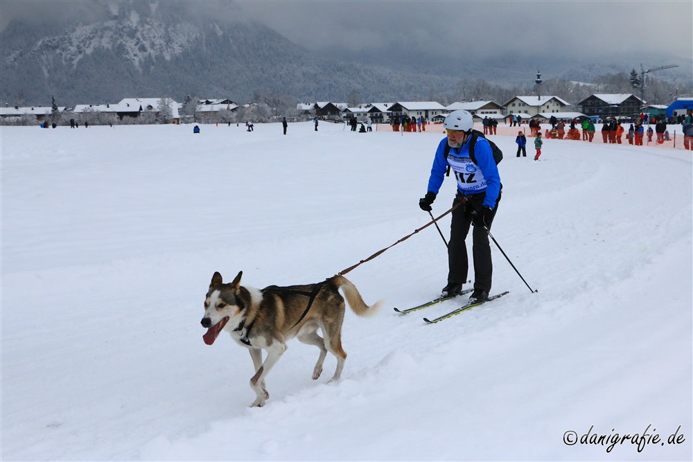 Schlüsselwörter: Schlittenhunderennen;Inzell