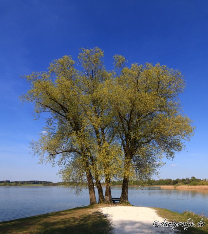 Schlüsselwörter: Chiemsee