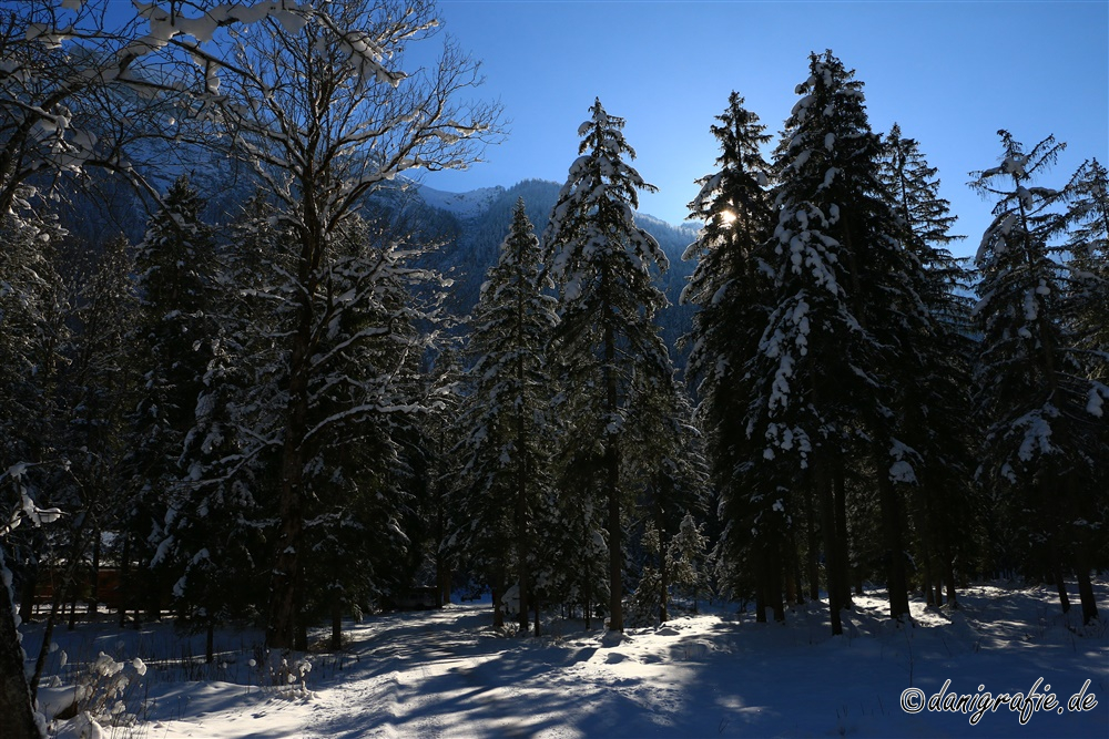 Keywords: Nationalpark;Nationalpark Berchtesgaden,Winter;