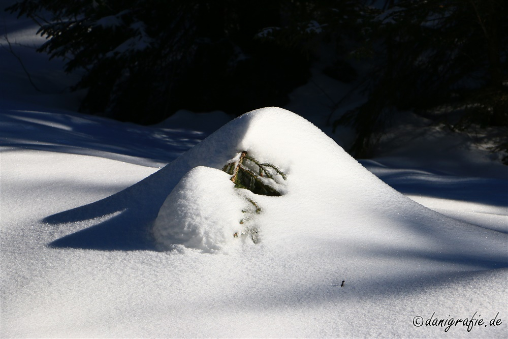 Schlüsselwörter: Hochschwarzeck