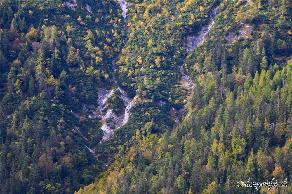 Schlüsselwörter: Hintersee;