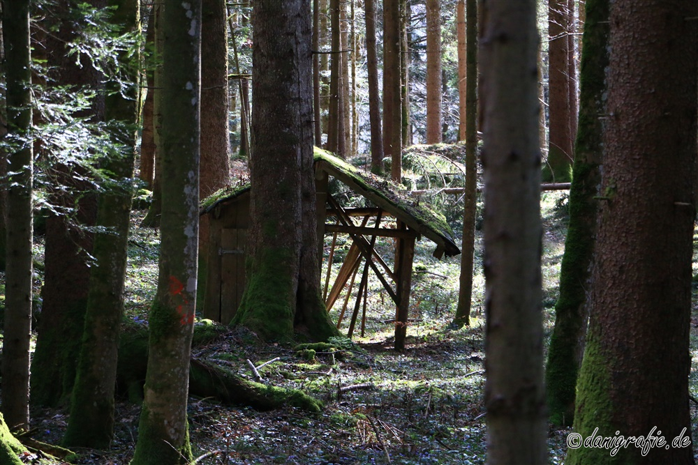 Schlüsselwörter: Märchenpfad;Aschauerweiher;Bischofswiesen;