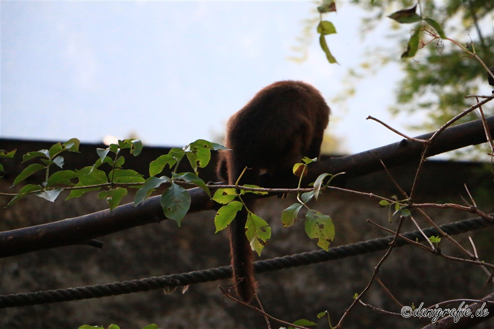 Schlüsselwörter: Tierpark;Hellbrunn;Zoo Salzburg