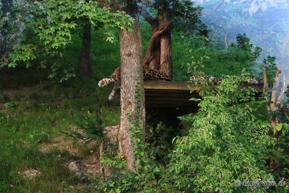 Schlüsselwörter: Tierpark;Hellbrunn;Zoo Salzburg