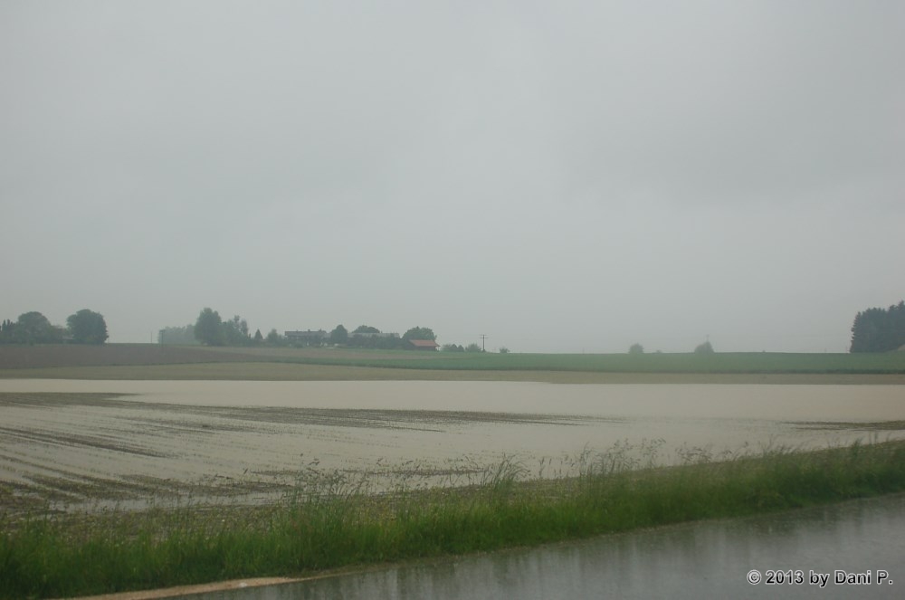 Ã¼berflutete Felder - leider keine Seltenheit
Schlüsselwörter: Surheim;Hochwasser;Wiese;See