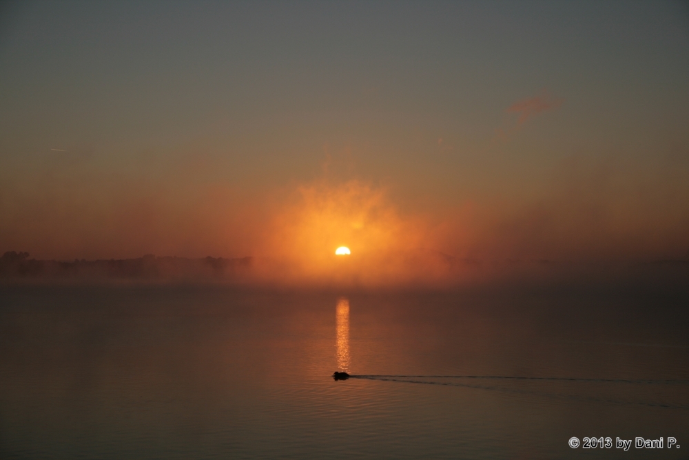 allmÃ¤hlich fÃ¤rbt sich der Nebel gelb-orange
Schlüsselwörter: Waginger See;Waging am See;Sonnenaufgang;Nebel